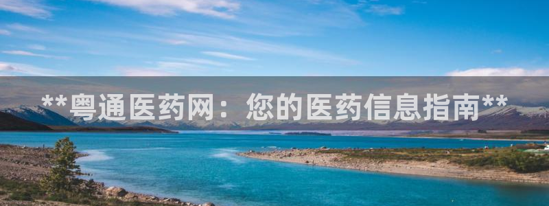 九游会j9官网网站