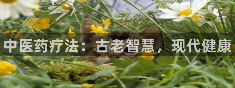 九游会登录网站吗知乎