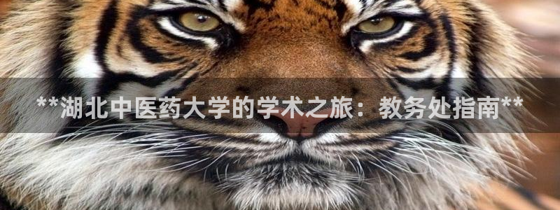 九游会网址登录不上