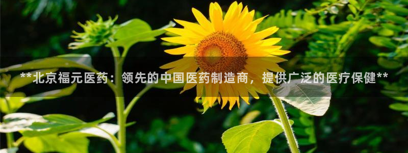 九游会官网登录中心官网