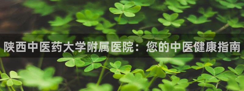 ag久游