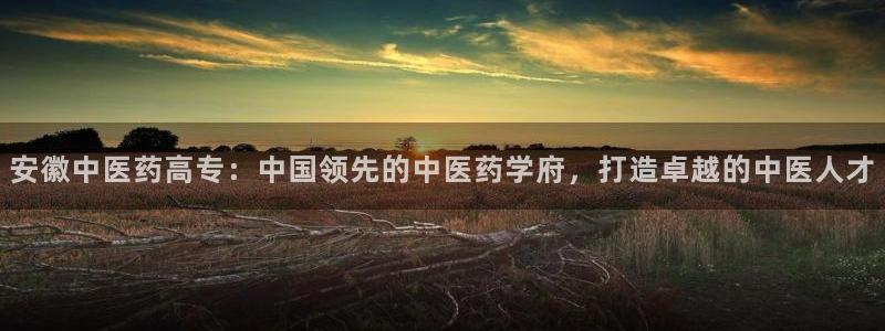 九游会ag318