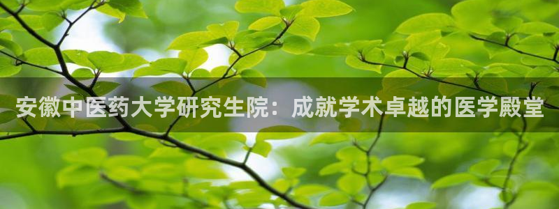 九游会app下载版官网正版安卓