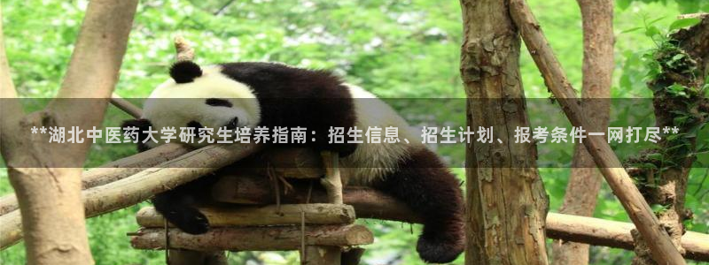 ag九游网