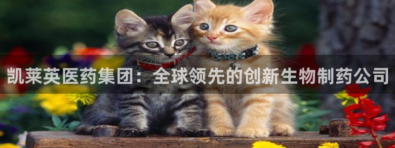 九游会在线官方网站下载吗