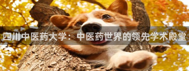 九游会是ag吗