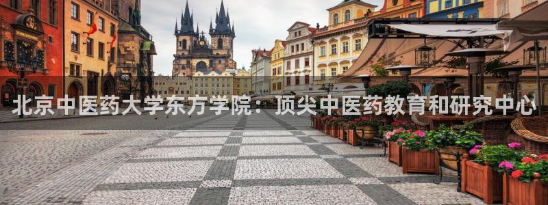 j9九游会怎么样