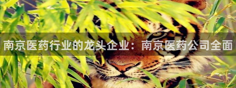 九游会官网下载不了吗