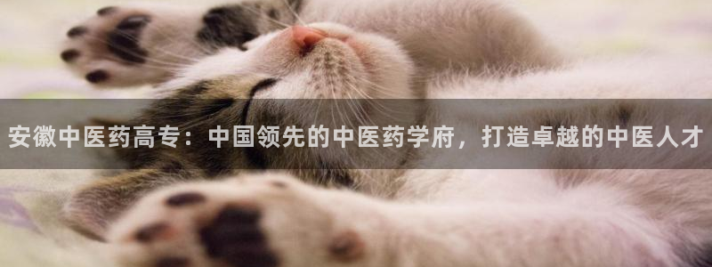 九游会集团官网