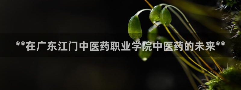九游会ag真人官网ios