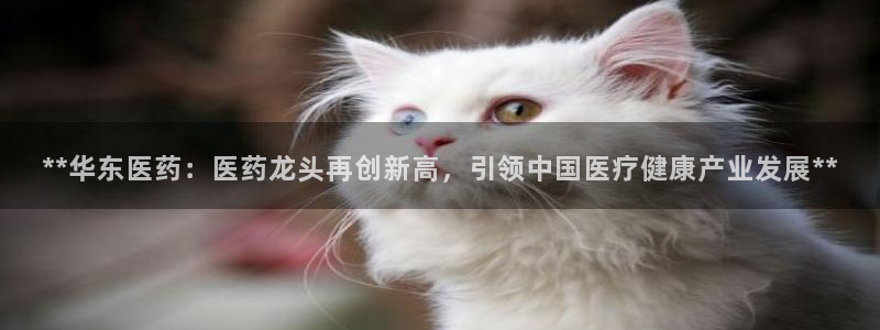 九游会官网真人认证吗