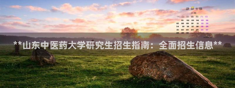 ag九游会