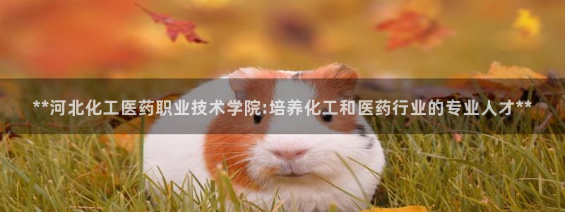J9九游会几千也会黑吗