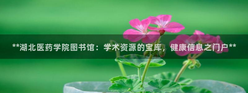 ag九游会登入