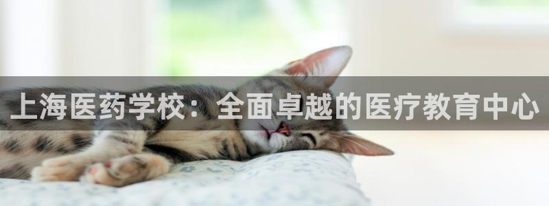 九游会游戏官方登录