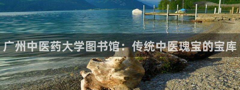 ag8亚洲九游会