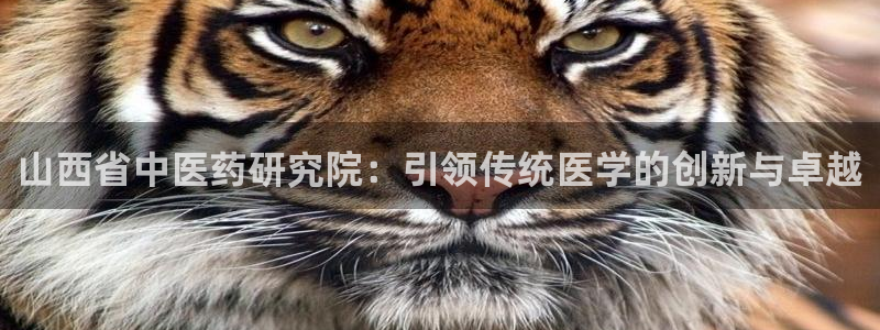 九游会网址是多少