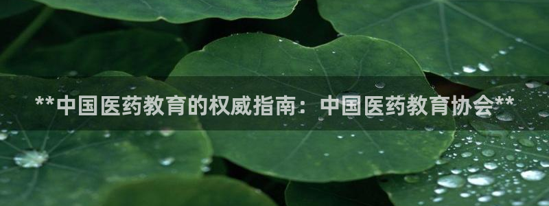 j9官网豪华游