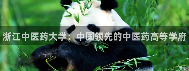 九游会网址在线玩
