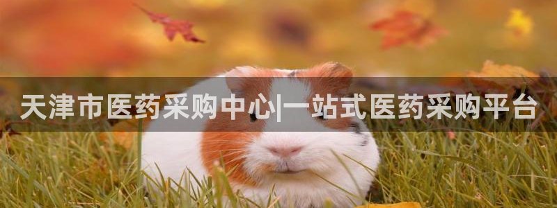 九游会老哥俱乐部官网