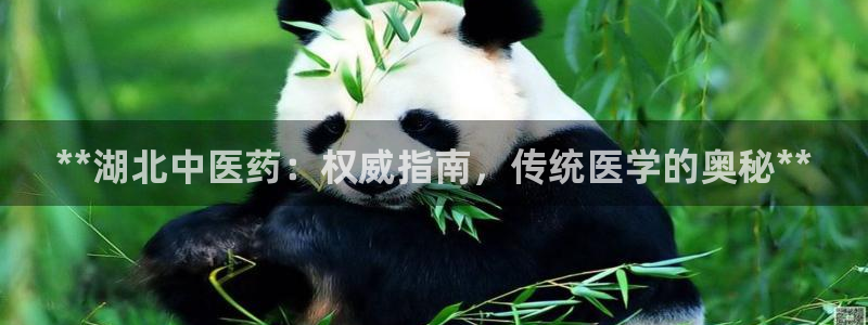 九游会网址登录不上