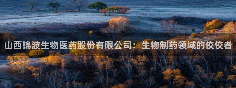 九游会倒闭