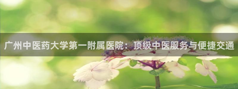 九游j9国际站官方网站