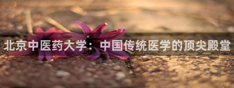 九游会官网页