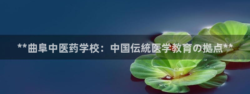 J9九游会国际