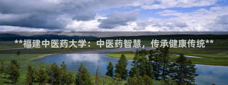 九游会网址登录不上