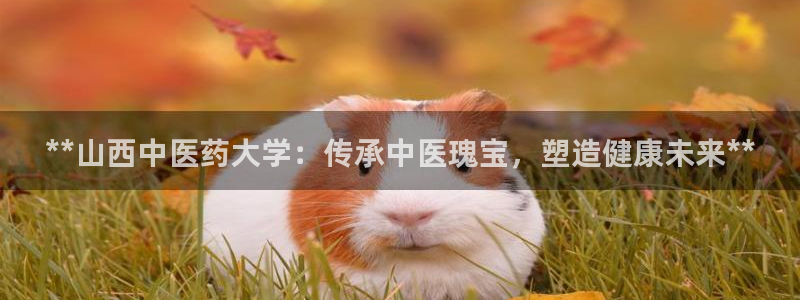 九游会国际厅登录 - j9九游会首页登录新版