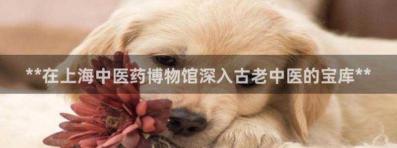九游会官方平台