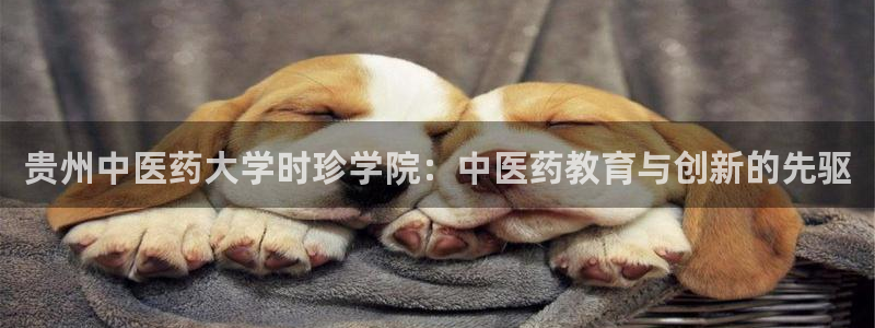 九游j9官方旗舰店