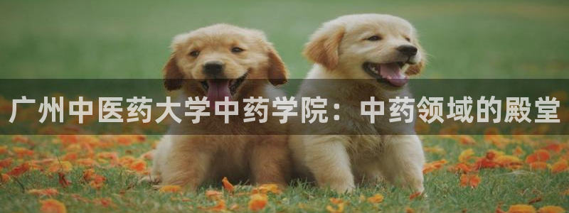九游j9会 - 真人游戏第一品牌