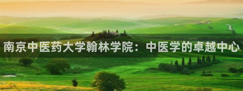九游会的网址是多少