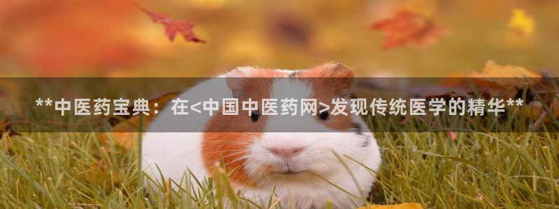 J9九游会试玩入口