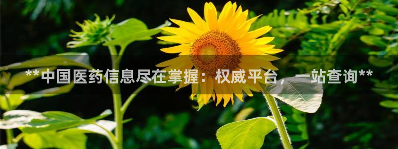 九游会登录网址多少