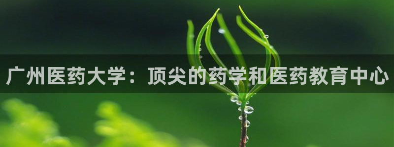 九游会集团货币