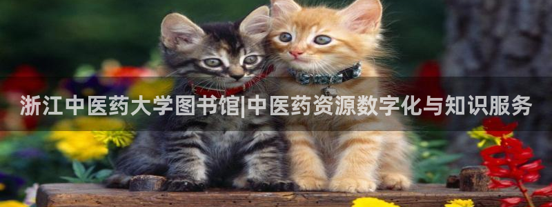 j9九游会老哥俱乐部介绍