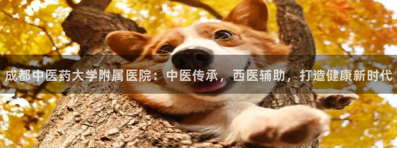 九游会电话