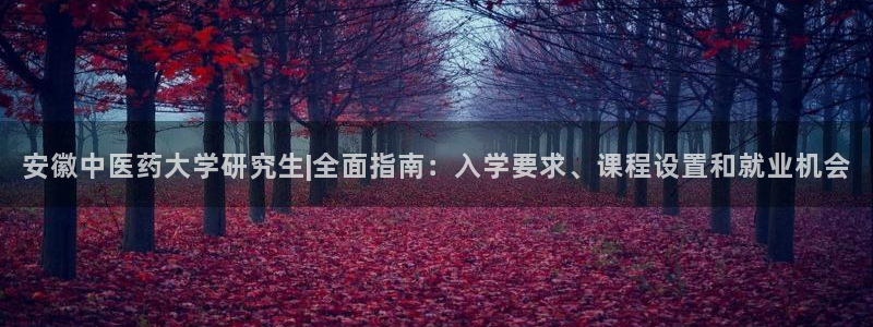九游会怎么提款