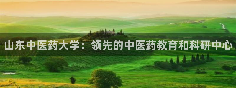 ag改九游会