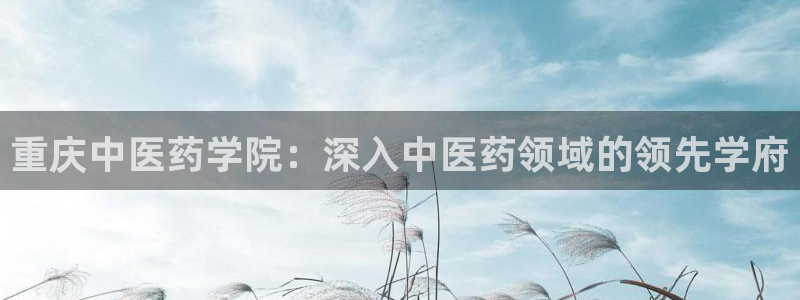 九游会官网真人认证吗安全吗