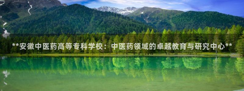 九游会ag网址大全专业版