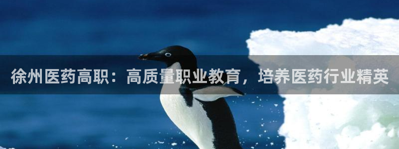 j9九游会网址