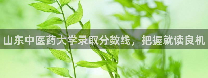 九游会在线登录