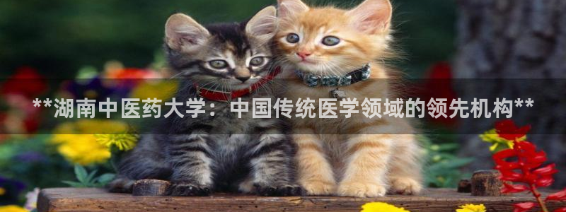 ag怎么变成九游会了