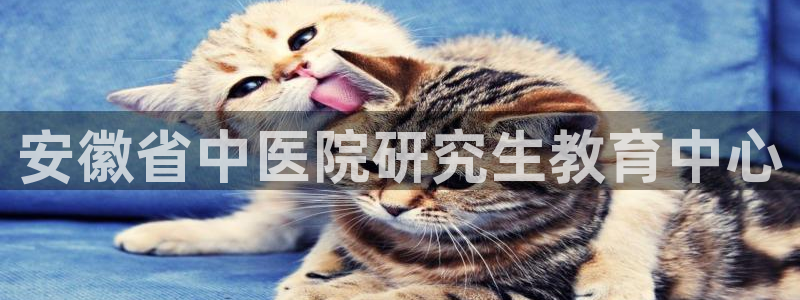 九游会j9官网登陆