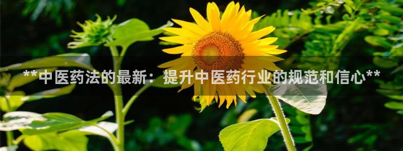 九游会j9全站平台