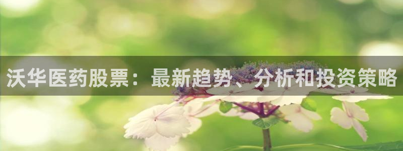 j9九游会老哥俱乐部客服